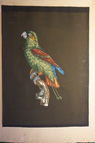 Gravure couleur gouache - gravure,