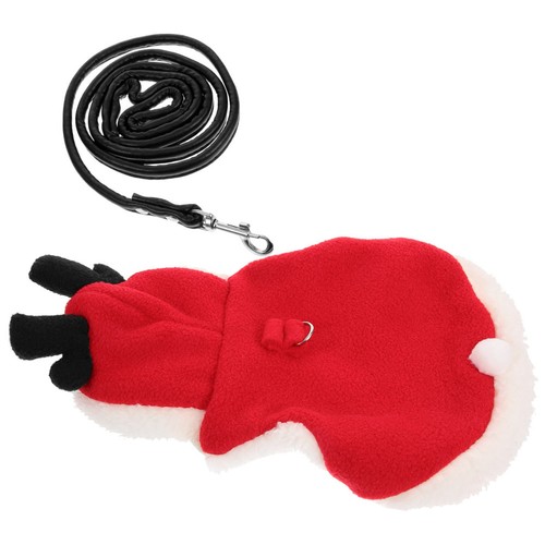 Kit laisse pour - laisse, lapin