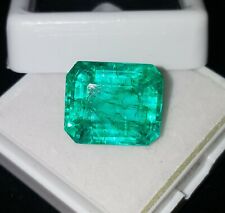 Emeraude verte naturelle 8,87 ct pierre précieuse en vrac certifiée émeraude ...