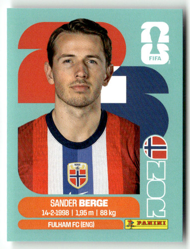Panini coupe monde - panini, du