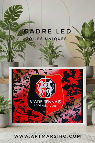 Stade rennais - stade,