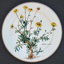 Sublime ASSIETTE PLATE signée