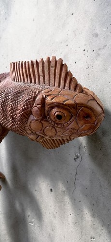 Magnifique iguane bois - iguane,