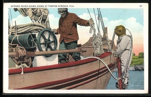 Carte postale tarpon - postale, springs