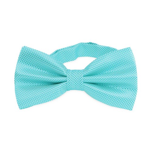 Noeud papillon élégant - , à
