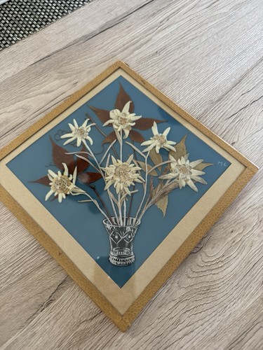 Cadre herbier floral edelweiss - herbier,