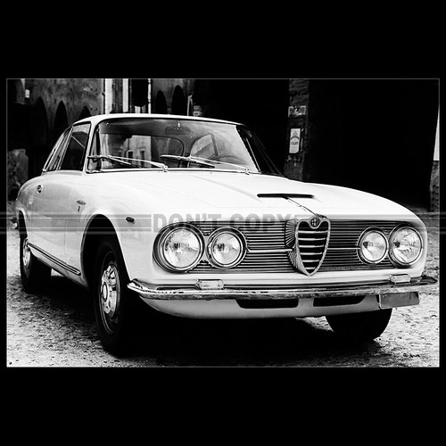 Photo 014513 alfa - alfa, romeo