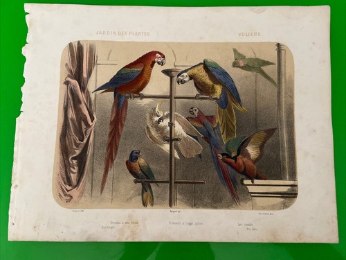 Gravure couleur ancienne - couleur,