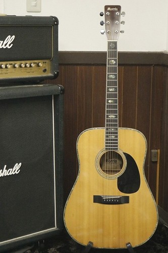 Guitare acoustique morris - morris, w-40
