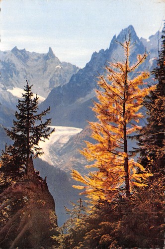 Les grands charmoz - charmoz, et