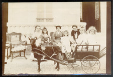 Un attelage de chèvre