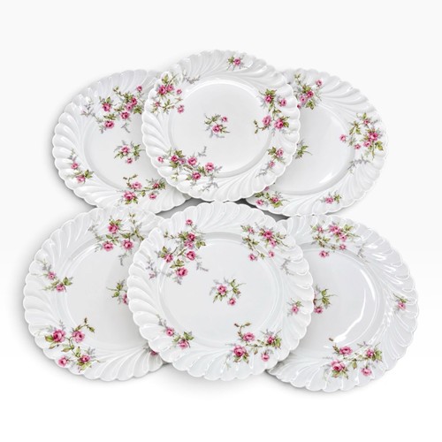 Grandes assiettes plates - 6,