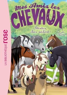 Mes amis les chevaux - 51,