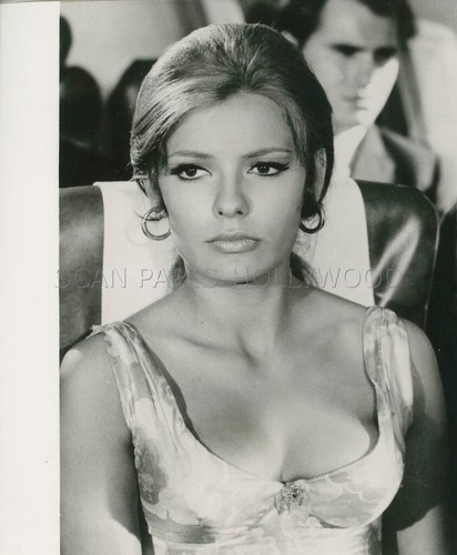 Daniele gaubert louve - la,