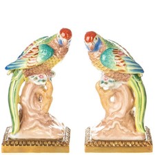 Paire perroquet en - perroquet,