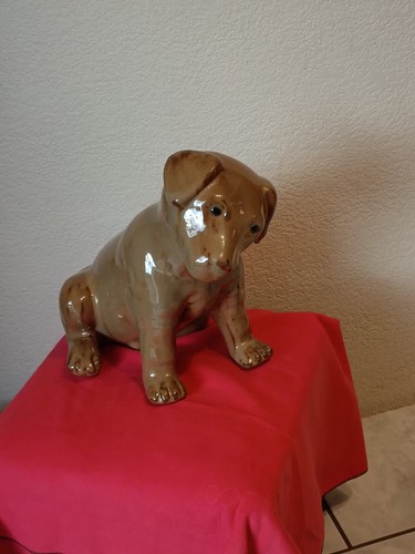 Barbotine chiot chien terre - barbotine,