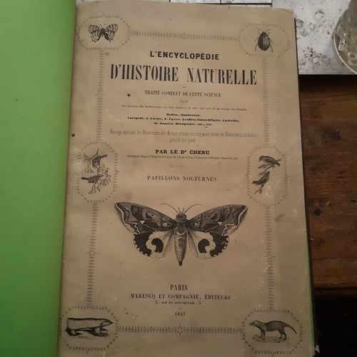 Les papillons vol - les,