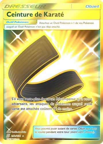 Ceinture karaté n 252 - de,