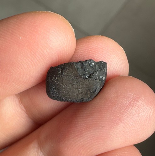 Meteorite chondrite carbonnée