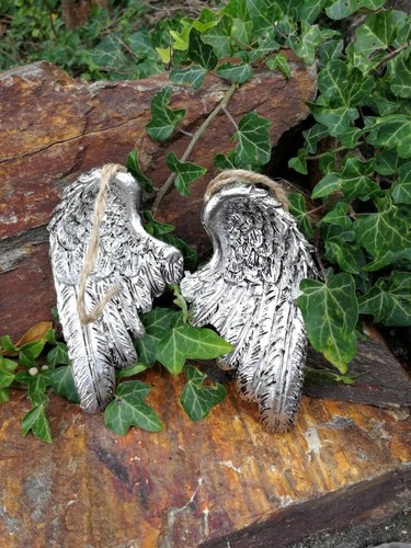 Paire ailes ange en - paire,