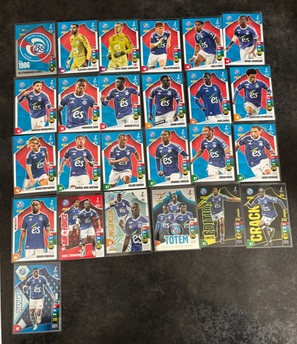 Panini adrenalyn ligue 1 - panini,