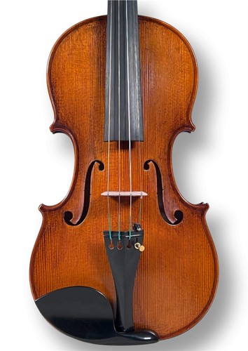 Violon professionnel butiu - professionnel,