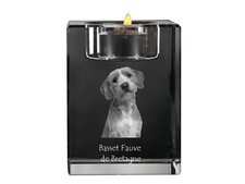 Basset Fauve De Bretagne -