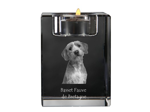 Basset fauve bretagne - basset,
