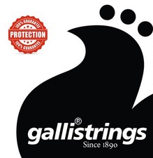 Galli LS1659 Résonateur Guitare Cordes, G-Tuning, Phosphore Bronze 016 059