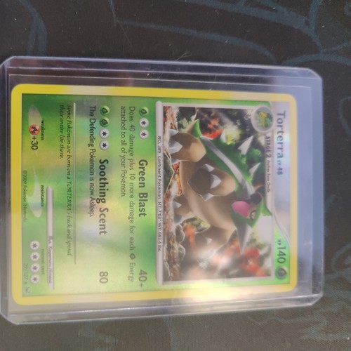 Pokémon torterra holo - pokémon,