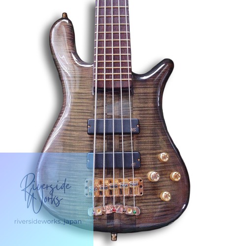 Warwick streamer stage1 - warwick,