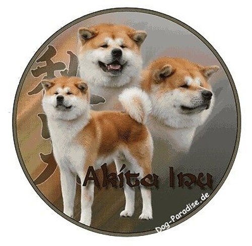 Autocollants design motif - autocollants,
