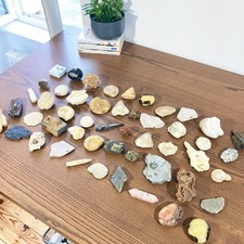 Superbe collection Fossiles et Minéraux Authentiques