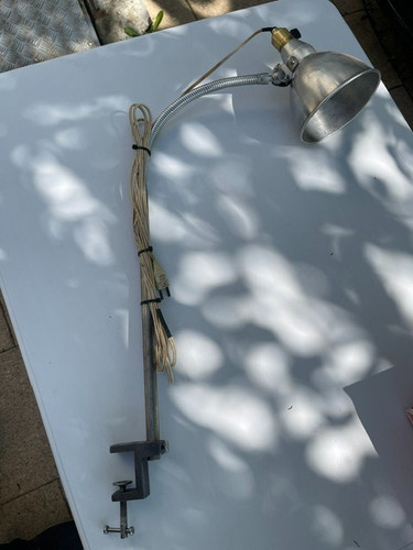 Lamp industrial mazda type - lamp,