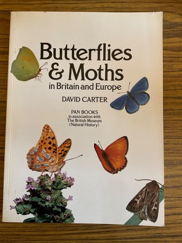 Butterflies moths in britain - butterflies, &