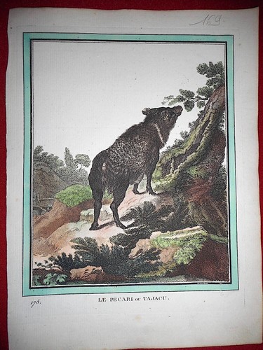 169 gravure xviiie - 169, histoire