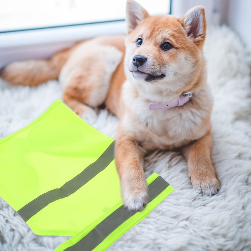 Gilet pour chien - pour,
