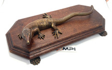 rare objet ancien 1920 science naturelle lézard seltenes altes objekt vecchio