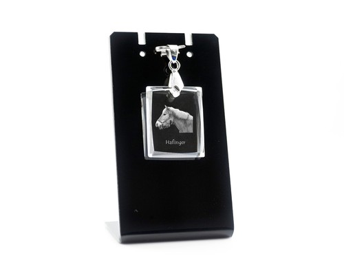 Haflinger collier photo - collier,