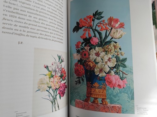 Pouvoir des fleurs - pouvoir,