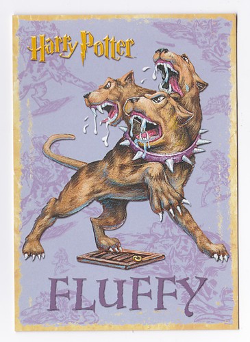 Harry potter carte postale - harry,