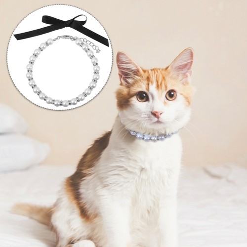 Accessoire chien collier - accessoire,