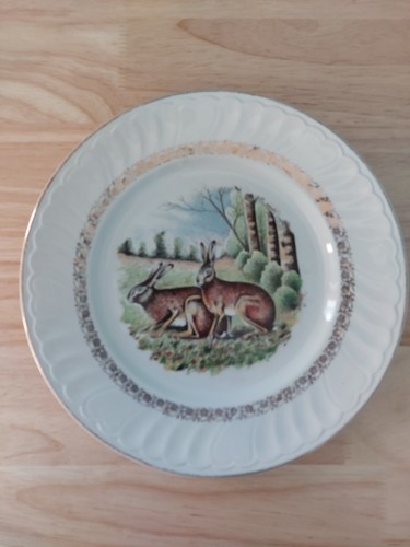 Assiette porcelaine vierzon - porcelaine,