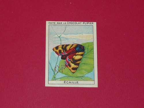 Chromo pupier 1930 album - chromo,