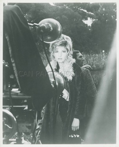 Monica vitti bambole 1965 - monica,
