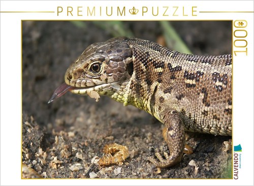 Calvendo puzzle ein - ein, aus