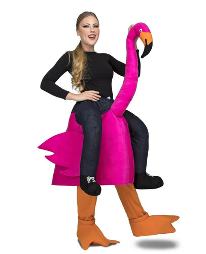 Costume fête flamant - costume,