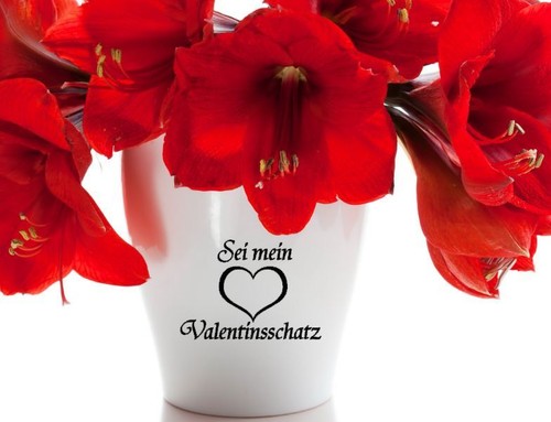 Pot fleurs autocollant vase - pot, de