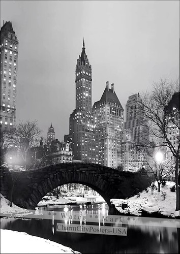 New york central park w - new, b&w