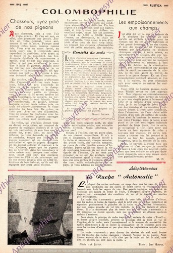 Colombophilie conseil - colombophilie,